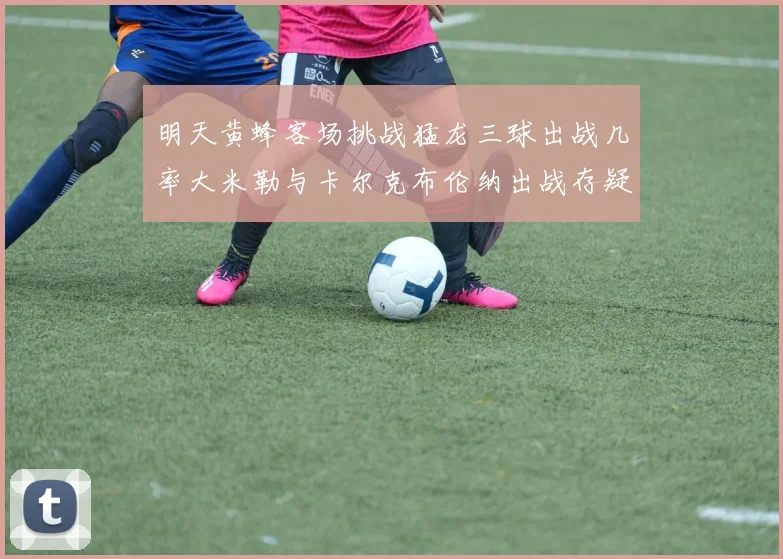 明天黄蜂客场挑战猛龙三球出战几率大米勒与卡尔克布伦纳出战存疑