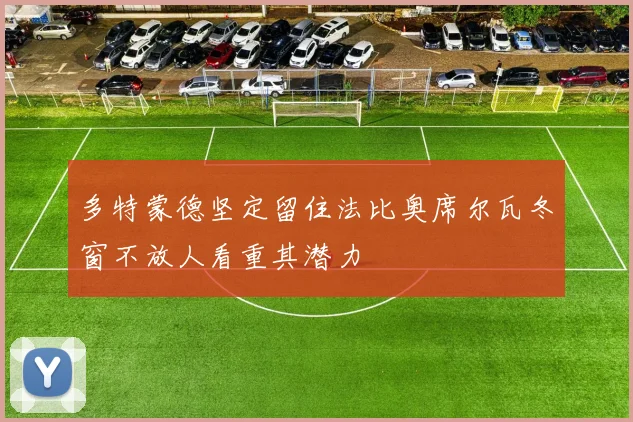多特蒙德坚定留住法比奥席尔瓦冬窗不放人看重其潜力